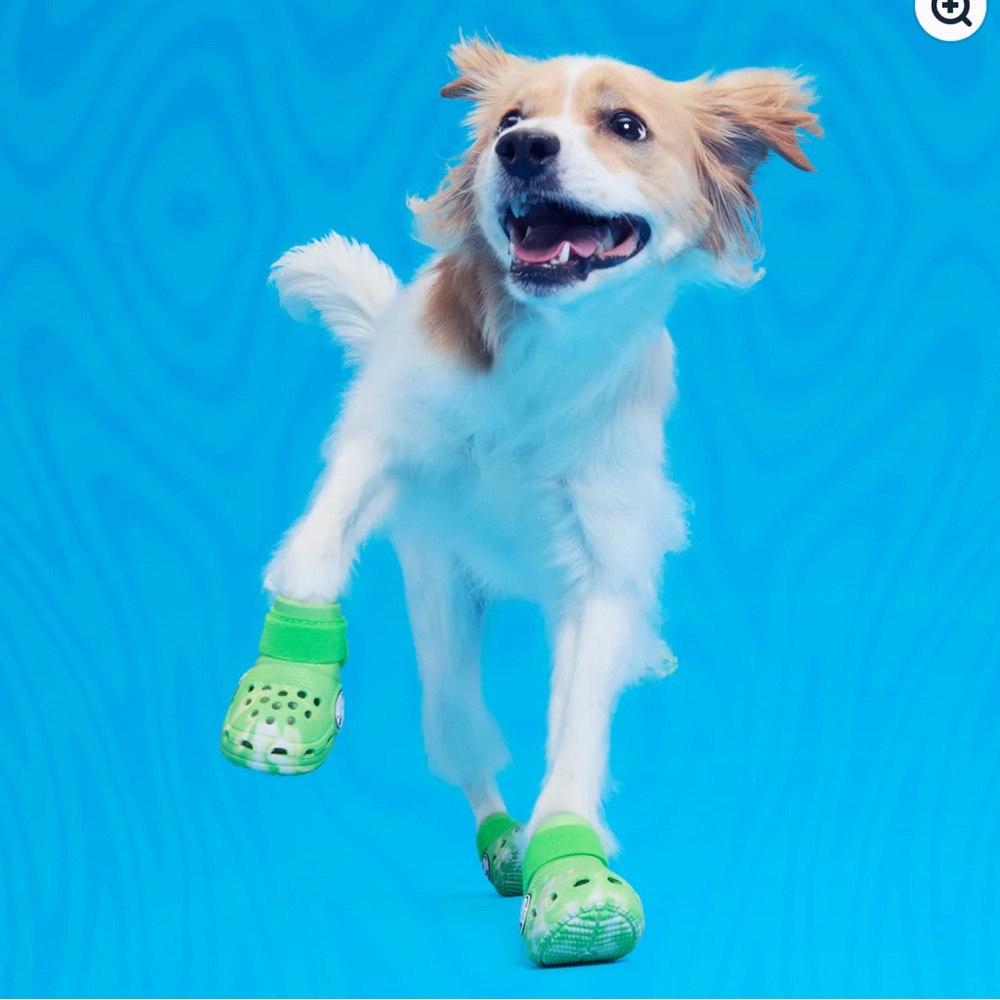 NEW NIB BARK Dog Crocs Limited Ed. Green Slime Swirl w/ Velcro Small S Small - Picture 7 of 16